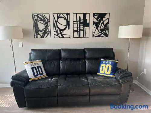 Amazing Condo in the Heart of Ann Arbor 319 - Image 1
