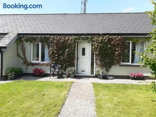 Lakeside Loughrea - Image 1
