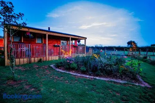 Cherry Tree Glamping - Image 1