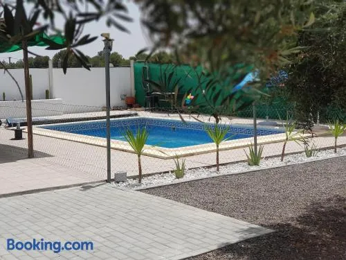Oasis Pool in the Desert BBQ and Garden - Image 1