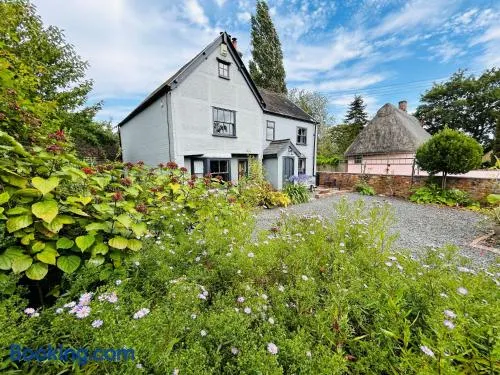 The Foremans House, With Hot Tub, A luxurious Historical pre 16th Century Grade II Listed House, location Essex in a picturesque Village, Country Pub In walking Distance - Image 1