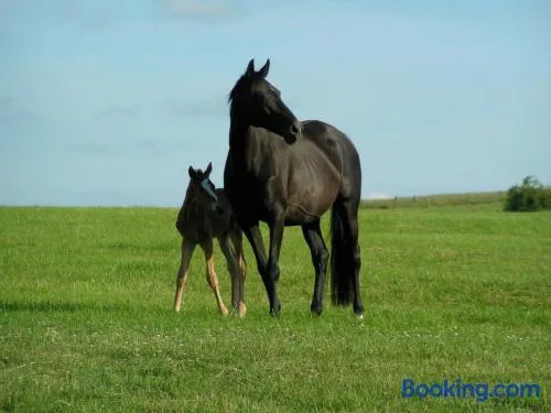 Gîte de Solama avec SPA - Image 1