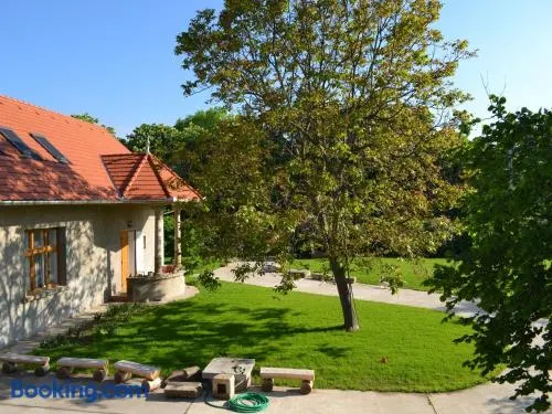 Turján Vendégház - Image 1
