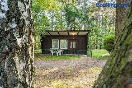 Bungalow 13 - Finnhütte - Image 1