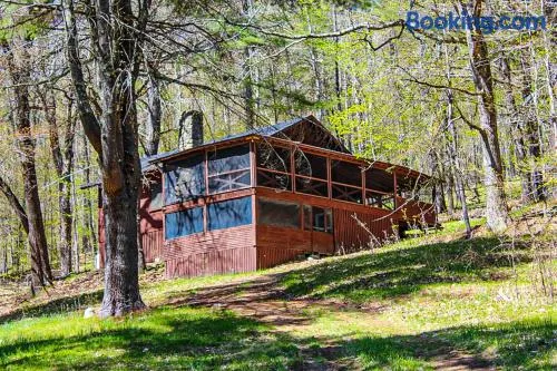 Deer Hill Camp - Image 1
