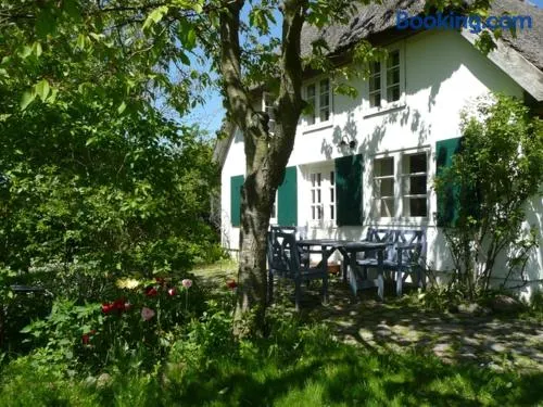 Reethaus Rosengarten Rügen, gegenüber von Hiddensee - Image 1