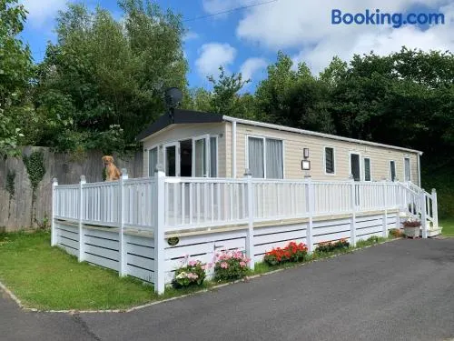 Mollys Retreat pet friendly three bed caravan with small garden Newquay Bay Resort Quieter area of park - Image 1