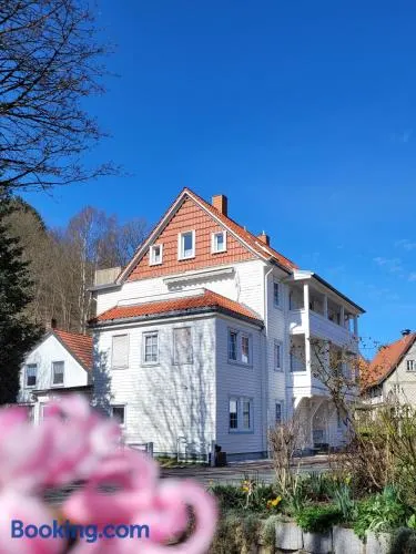 Haus Am Beckerberg im Harz - Image 1