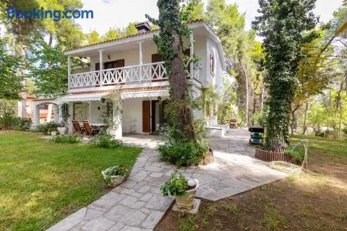 Montagna - Sani - Image 1