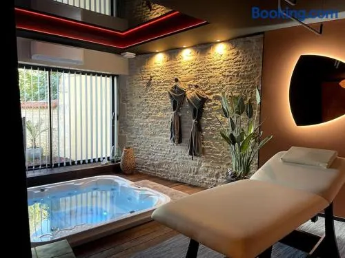 Loft TinPanAlley avec SPA - Marais Poitevin entre Niort et La Rochelle - Image 1