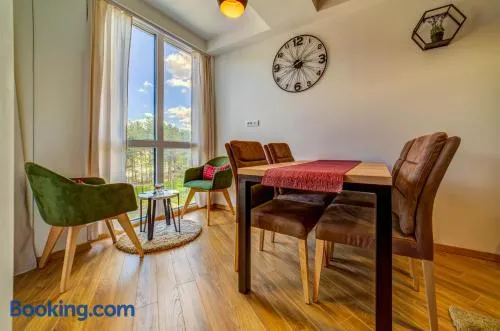 Apartman Žičara Zlatibor - Image 1