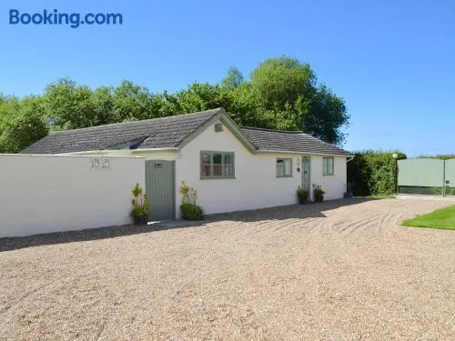 The Chicken Shed - Image 1