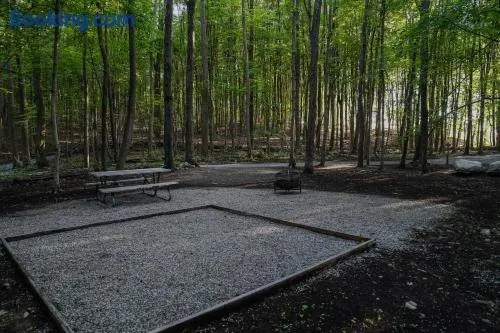 Campsite 1 at Moon Valley Campground - Image 1