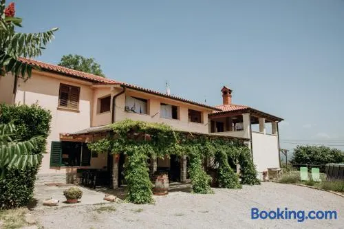 Apartmaji Pajer - Image 1