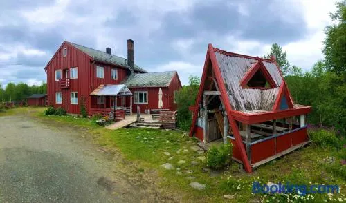 Pasvik Taiga - Image 1
