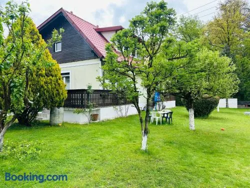 Apartment Dolina 8a Kärnten KLagenfurt - Image 1