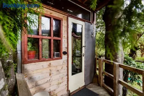 The Treehut at the Rabbithole, Upper Hutt - Image 1