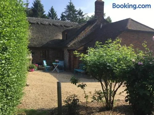 Thatched Cottage - Image 1