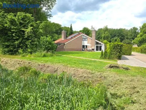 Spacious home in Zwiggelte - Image 1