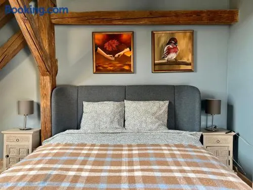 Kiss-Henézi Guest House Mád Tokaj - Image 1