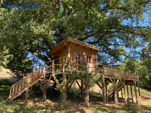 Cabane dans un chêne tricentenaire - Image 1
