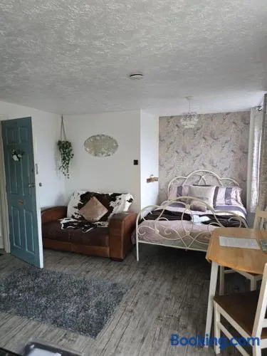 Havisham Studio Flat Rochester ME1 1XZ - Image 1