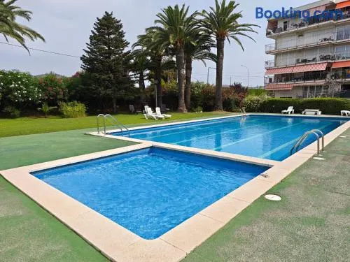 Bonamar - Image 1