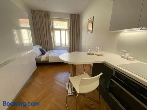 Modern Apartments Letna - Image 1