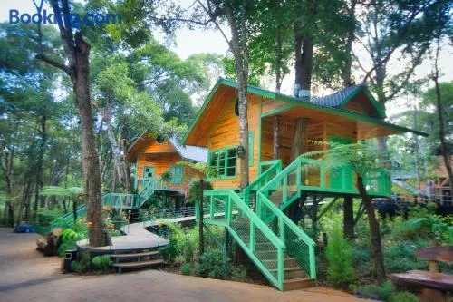 Măng Đen Treehouse Village Resort & Zipline - Image 1