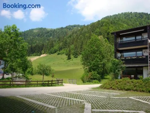 Oostenrijk-walchsee-Hasewinkel - Image 1