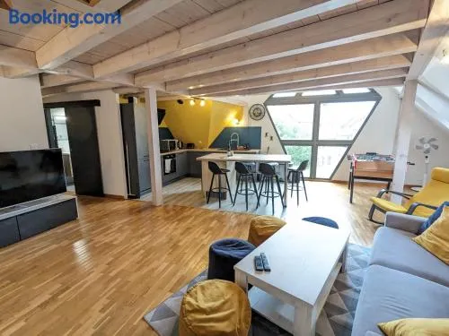 Appartement Le Ch'ti Alsacien - Image 1