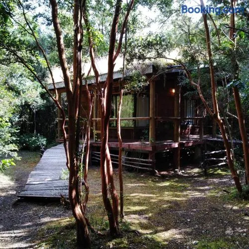 Habitación en Rio Puelo - Image 1