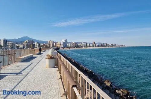 Gandia Grau 5 - Image 1