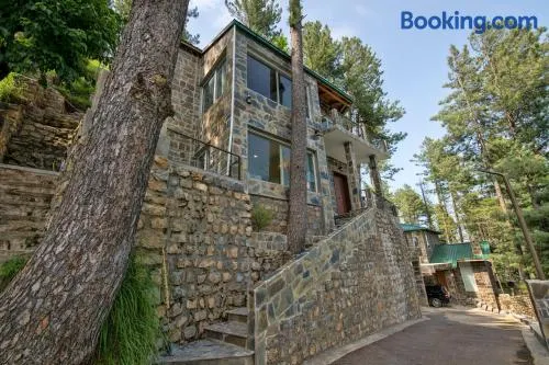 Blue Pine Mountain Homes - Image 1