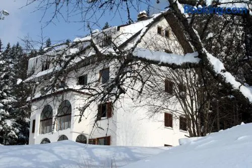 Villa Kostic Kopaonik - Image 1
