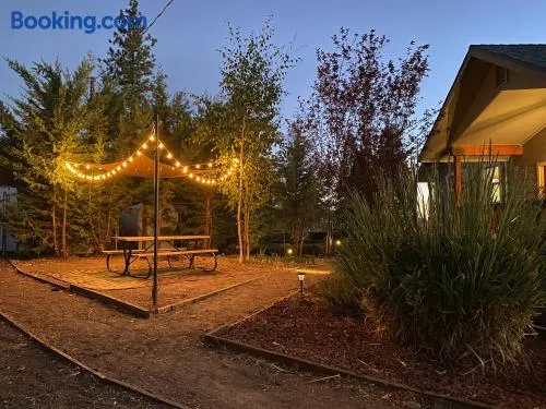 The Hilltop Cabin Retreat in Bass Lake Heights - Image 1