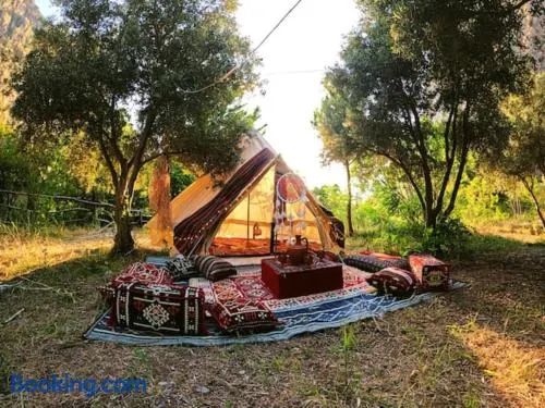 Butterfly Valley Seaside Glamping - Image 1