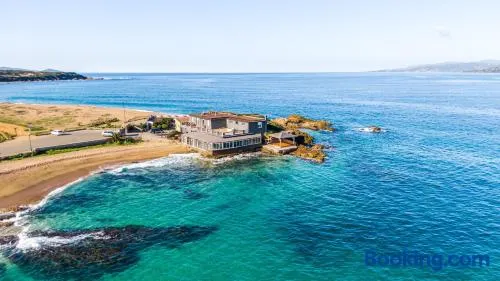 Le Lido - Image 1