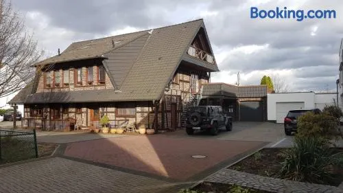 Mühlenberger Ponyhof - Image 1