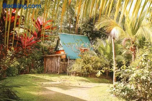Rustic Cabin in Pavones surf brake - Image 1