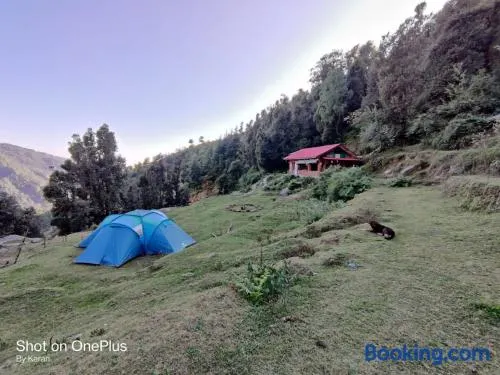 Cafe Himalayan Musaafir & Campsite Kareri - Image 1