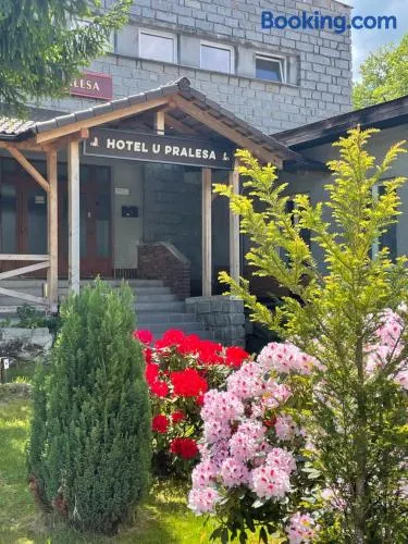 Apartmány IMLADRIS, Hotel u pralesa - Image 1