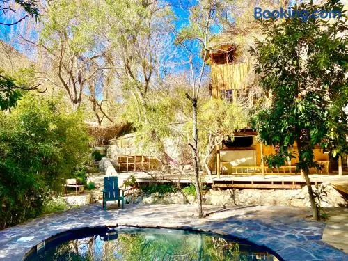 La Casa entre los Árboles en el Valle de Elqui Montegrande - Image 1