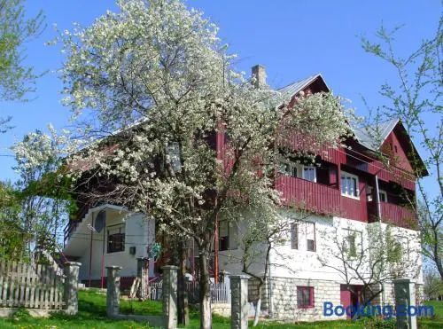Cabana Codrii Apusenilor - Matis - Image 1