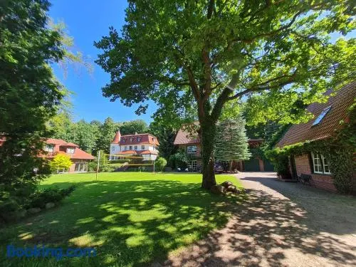 4 Sterne-Haus am See - Image 1