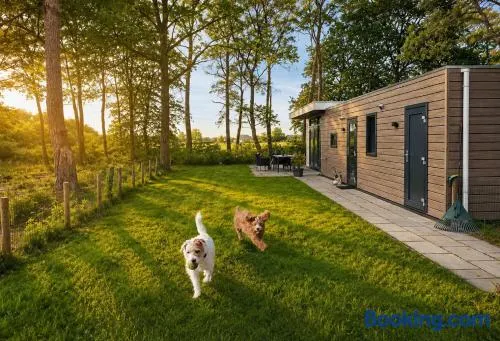 Casa Kwispel - Hondvriendelijk, luxe, natuur, omheinde tuin - Image 1