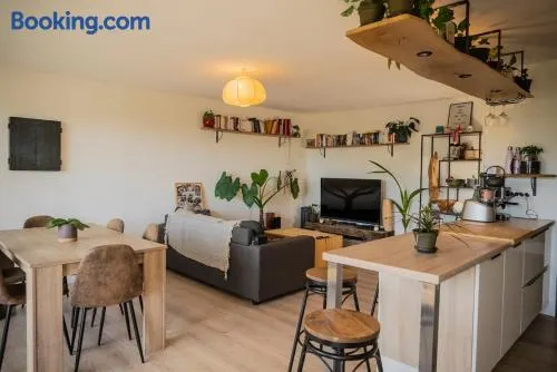 Magnifique appartement entre lac et montagne - Image 1