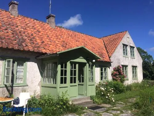 Lime stone house, walking distance to ocean &beach - Image 1