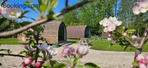Camping Pod on Quiet Adults Only, Dog Friendly Campsite - Image 1