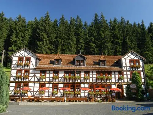 Pension Landhaus Machold - Image 1